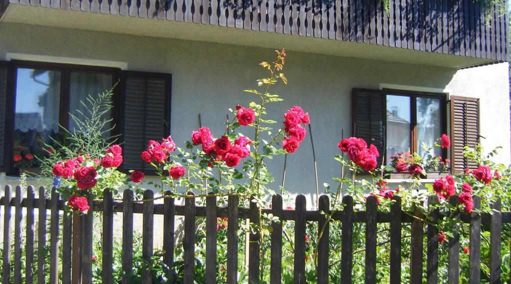 Guest House Kmetija Dane Bagian luar foto
