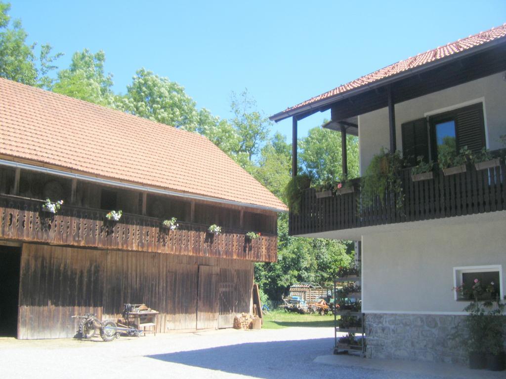 Guest House Kmetija Dane Bagian luar foto